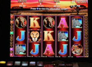 旺财28APP2024最新版